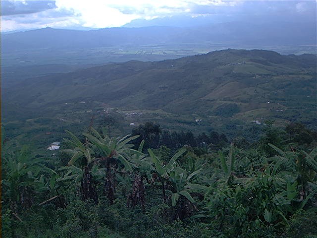 Unaichu